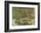 Lily Pond, 1881-Claude Monet-Framed Giclee Print