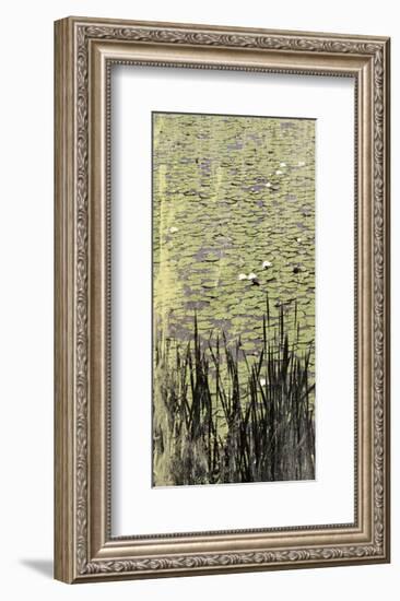 Lily Pond I-Erin Clark-Framed Art Print