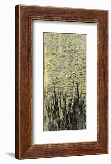 Lily Pond I-Erin Clark-Framed Art Print