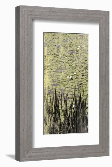 Lily Pond I-Erin Clark-Framed Art Print