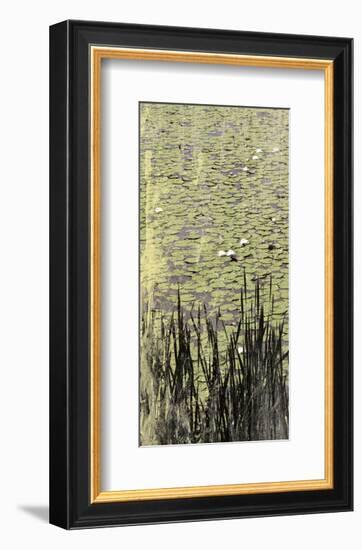 Lily Pond I-Erin Clark-Framed Art Print