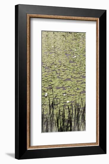 Lily Pond II-Erin Clark-Framed Art Print