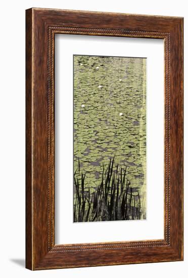 Lily Pond III-Erin Clark-Framed Art Print