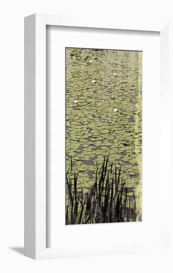 Lily Pond III-Erin Clark-Framed Art Print
