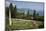 Lily pond, Isola Bella, Borromean Islands, Stresa, Lake Maggiore, Italian Lakes, Piedmont, Italy, E-James Emmerson-Mounted Photographic Print