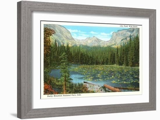 Lily Pond, Wild Basin, Colorado-null-Framed Art Print