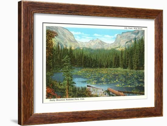 Lily Pond, Wild Basin, Colorado-null-Framed Art Print