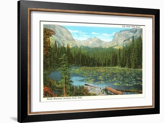 Lily Pond, Wild Basin, Colorado-null-Framed Art Print