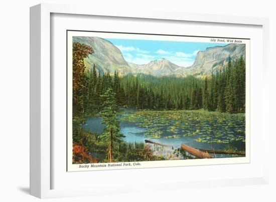 Lily Pond, Wild Basin, Colorado-null-Framed Art Print