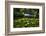 Lily Pond With A Footbridge-George Oze-Framed Photographic Print