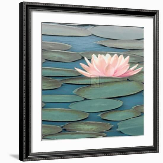 Lily Pool II-Adam Brock-Framed Art Print