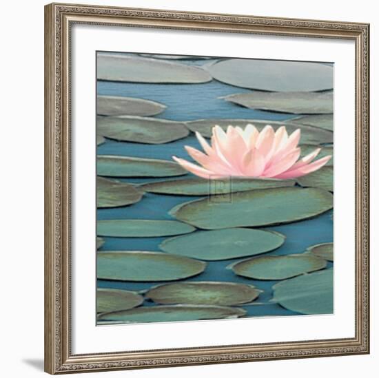 Lily Pool II-Adam Brock-Framed Art Print