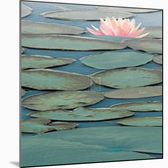 Lily Pool III-Adam Brock-Mounted Art Print