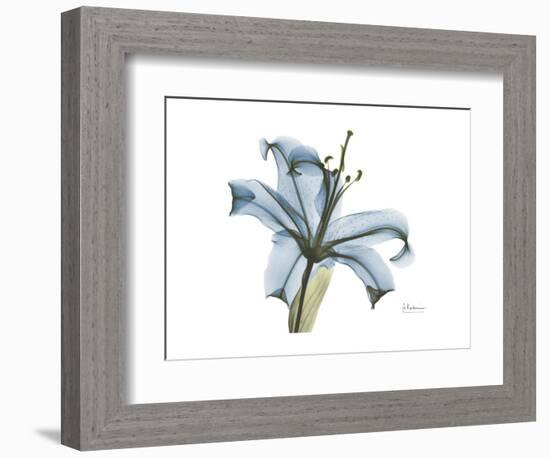 Lily Portrait-Albert Koetsier-Framed Premium Giclee Print