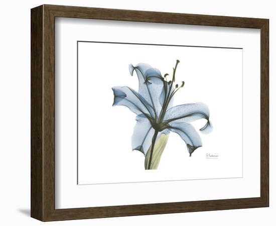 Lily Portrait-Albert Koetsier-Framed Premium Giclee Print