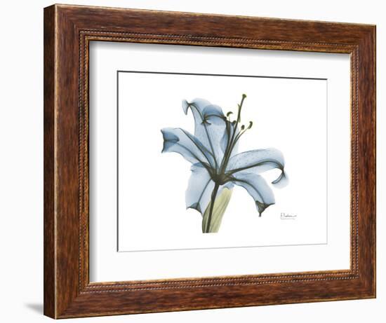 Lily Portrait-Albert Koetsier-Framed Premium Giclee Print