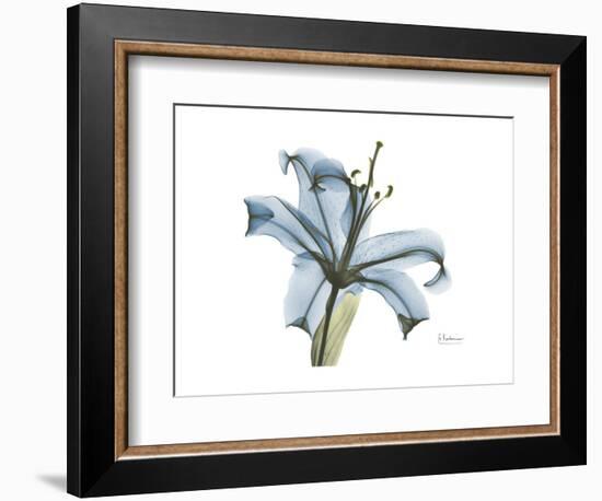 Lily Portrait-Albert Koetsier-Framed Premium Giclee Print