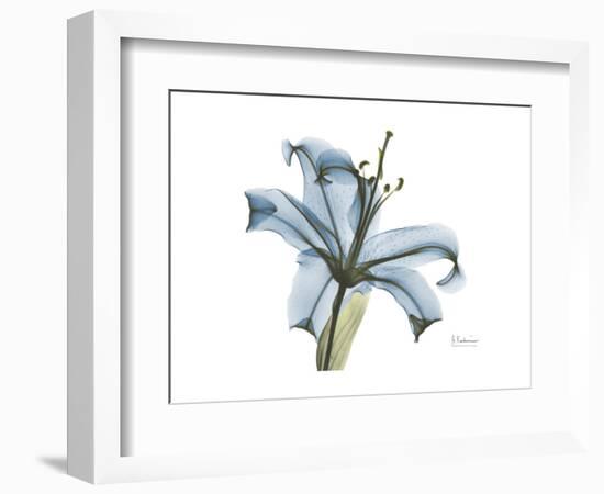 Lily Portrait-Albert Koetsier-Framed Premium Giclee Print