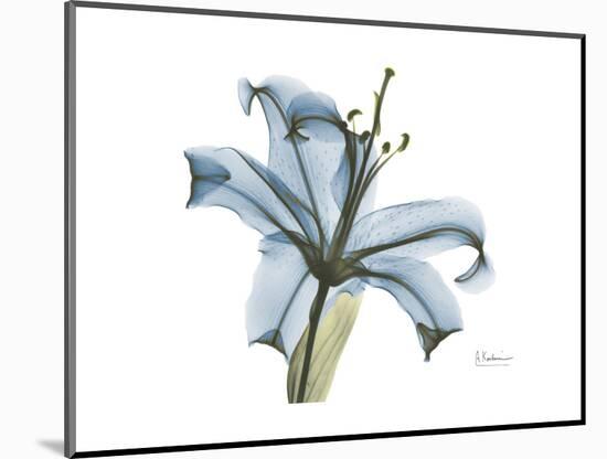 Lily Portrait-Albert Koetsier-Mounted Premium Giclee Print