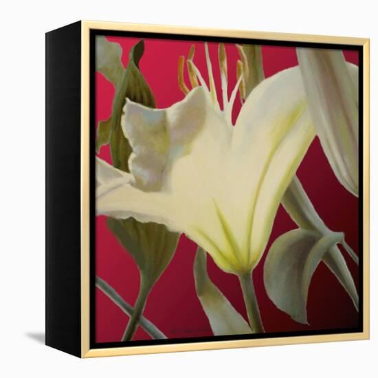 Lily Red-Jan McLaughlin-Framed Stretched Canvas