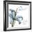 Lily Strength-Albert Koetsier-Framed Photographic Print