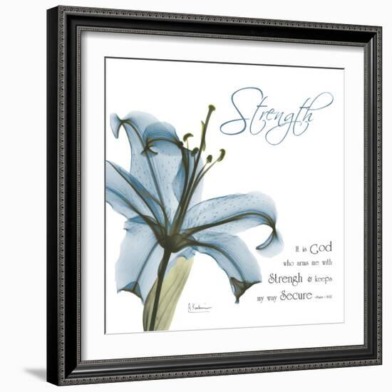 Lily Strength-Albert Koetsier-Framed Photographic Print