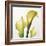 Lily Trio-Bill Philip-Framed Giclee Print