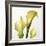 Lily Trio-Bill Philip-Framed Giclee Print