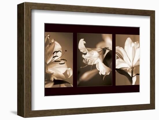 Lily Trio-Caroline Kelly-Framed Photo