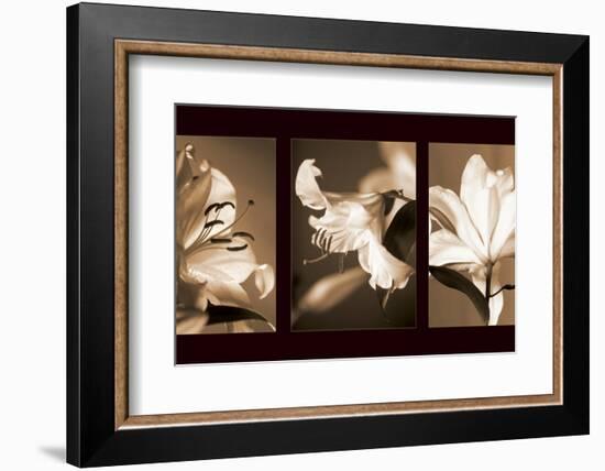 Lily Trio-Caroline Kelly-Framed Photo