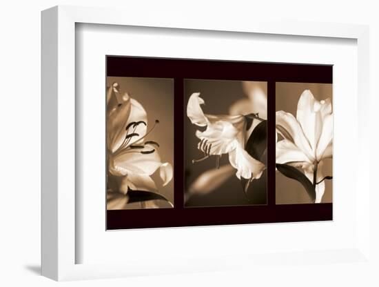 Lily Trio-Caroline Kelly-Framed Photo