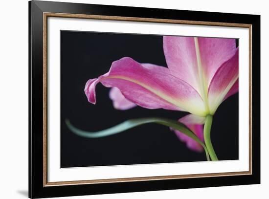 Lily Twilight-Irene Suchocki-Framed Giclee Print