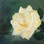A Rose is a Rose 2-Lily Van Bienen-Giclee Print