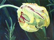 Tulip at Sea-Lily Van Bienen-Giclee Print