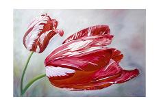 English Tulips-Lily Van Bienen-Giclee Print