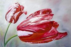 Lit Tulip 2-Lily Van Bienen-Giclee Print