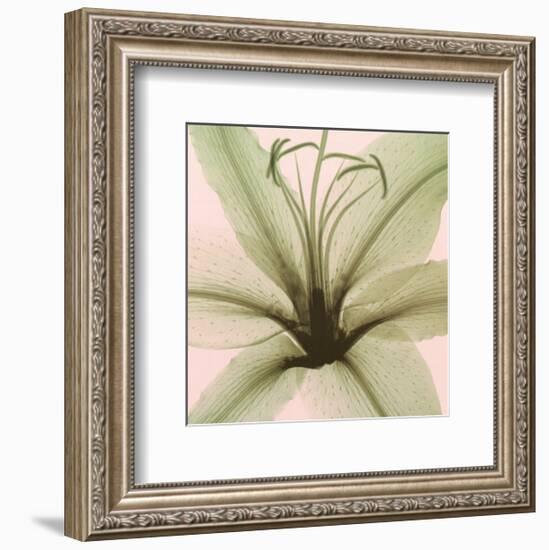 Lily-Steven N^ Meyers-Framed Art Print