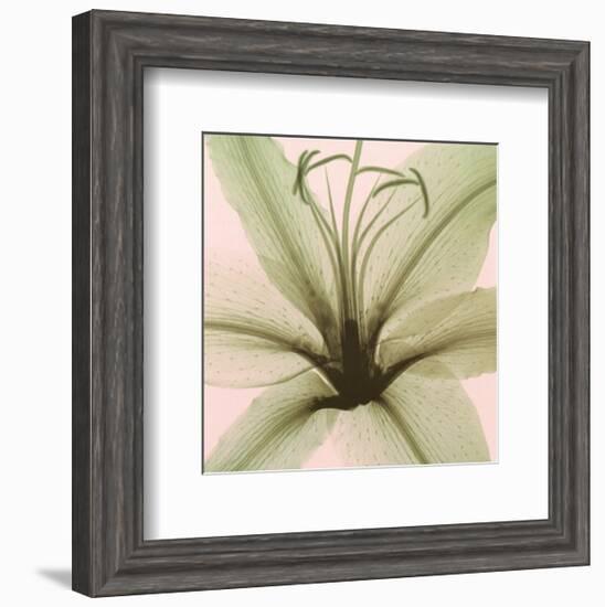 Lily-Steven N^ Meyers-Framed Art Print