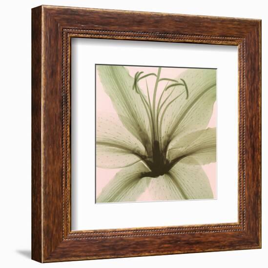 Lily-Steven N^ Meyers-Framed Art Print