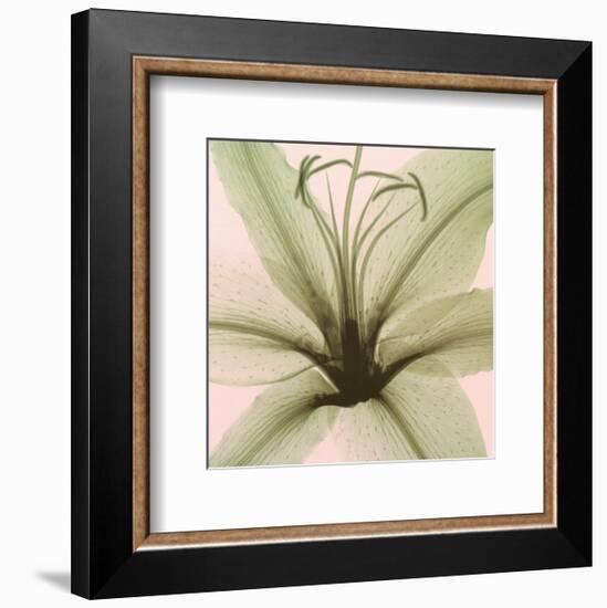 Lily-Steven N^ Meyers-Framed Art Print