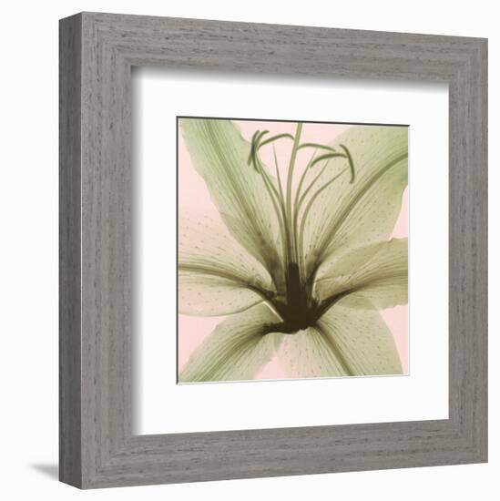 Lily-Steven N^ Meyers-Framed Art Print