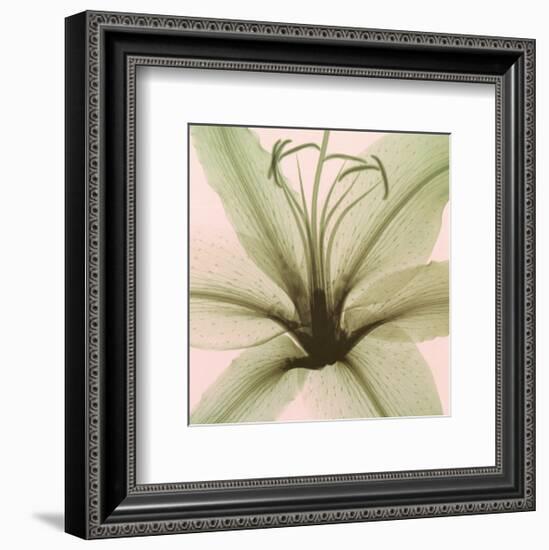 Lily-Steven N^ Meyers-Framed Art Print