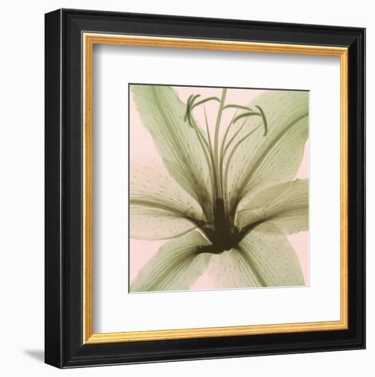 Lily-Steven N^ Meyers-Framed Art Print