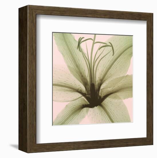 Lily-Steven N^ Meyers-Framed Art Print