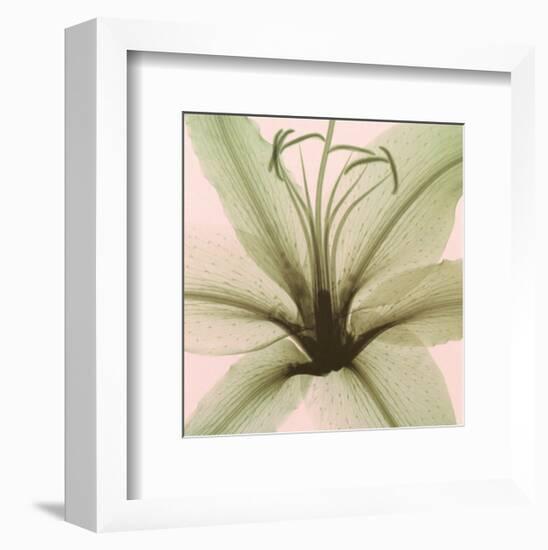 Lily-Steven N^ Meyers-Framed Art Print