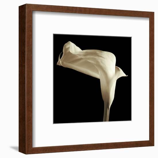 Lily-Michael Harrison-Framed Art Print