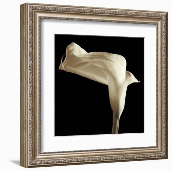 Lily-Michael Harrison-Framed Art Print