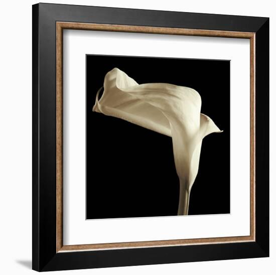 Lily-Michael Harrison-Framed Art Print