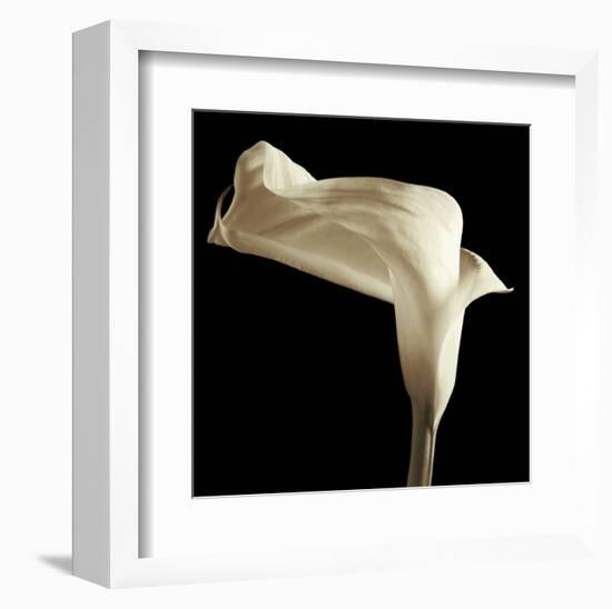 Lily-Michael Harrison-Framed Art Print