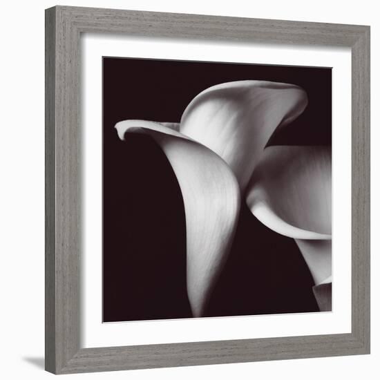 Lily-Bill Philip-Framed Giclee Print